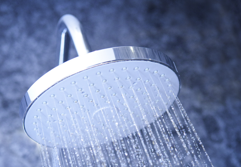 York House Hotel Showerhead